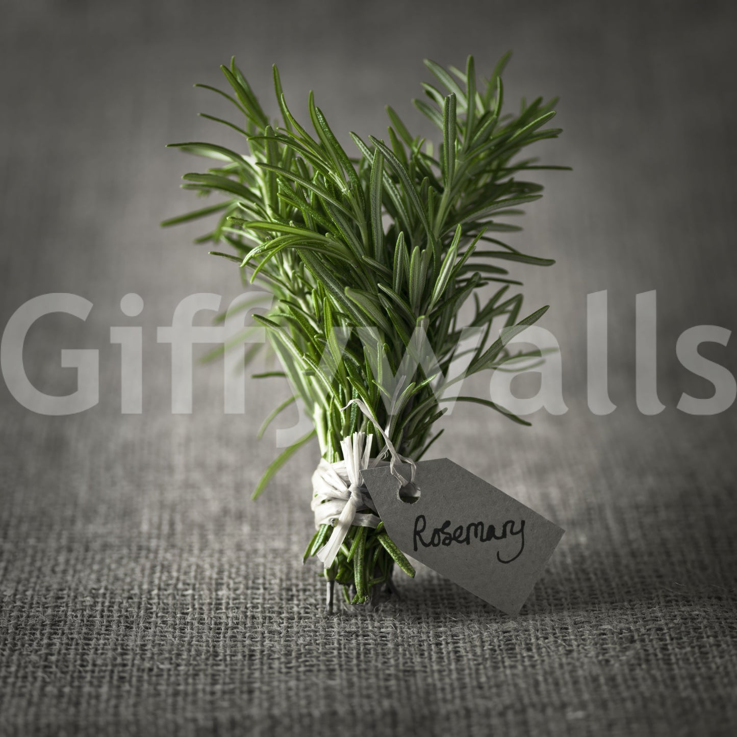 Rustic Herb Bundle Still Life Wall Mural
