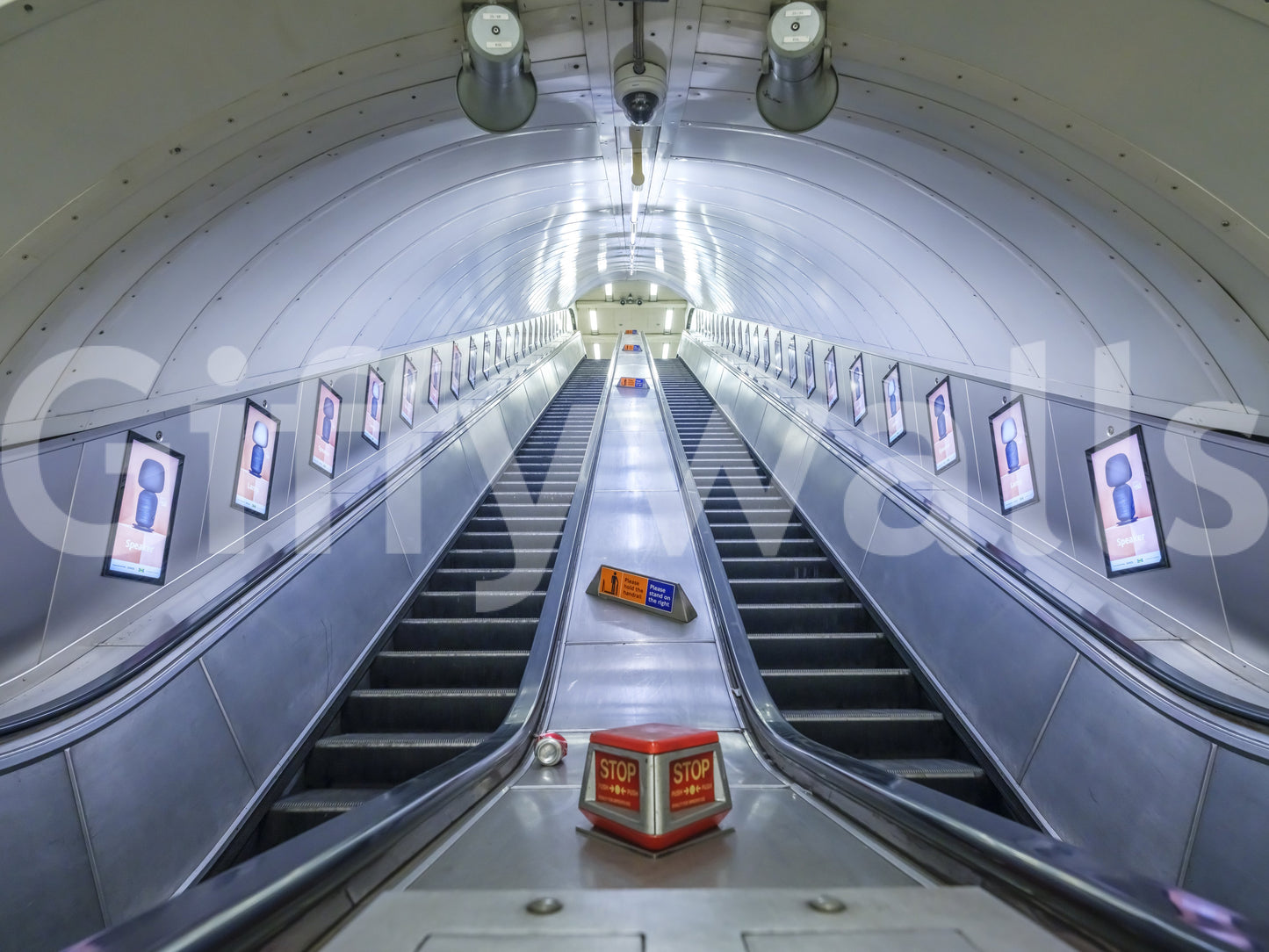 Industrial Transit Symmetry Wall Mural