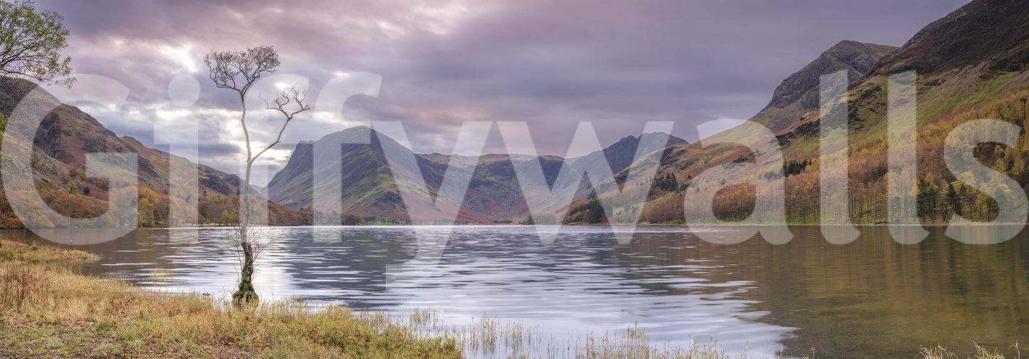 Serene Mountain Wilderness Scenery Wall Mural