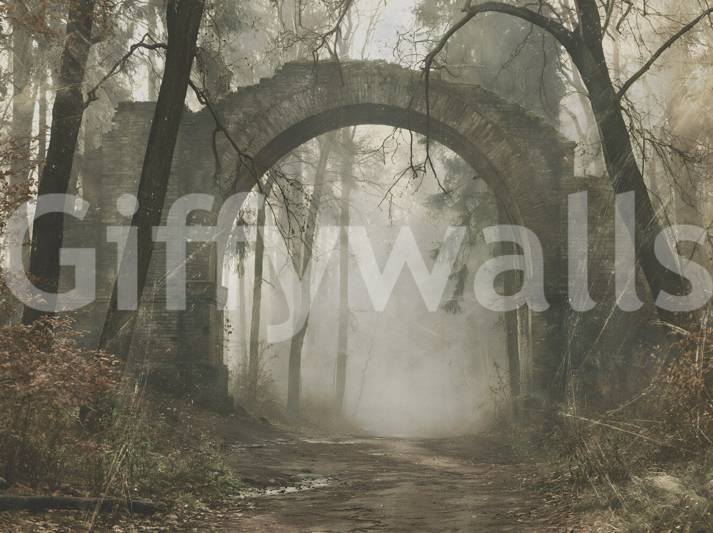 Misty Ancient Forest Stone Archway Wall Mural