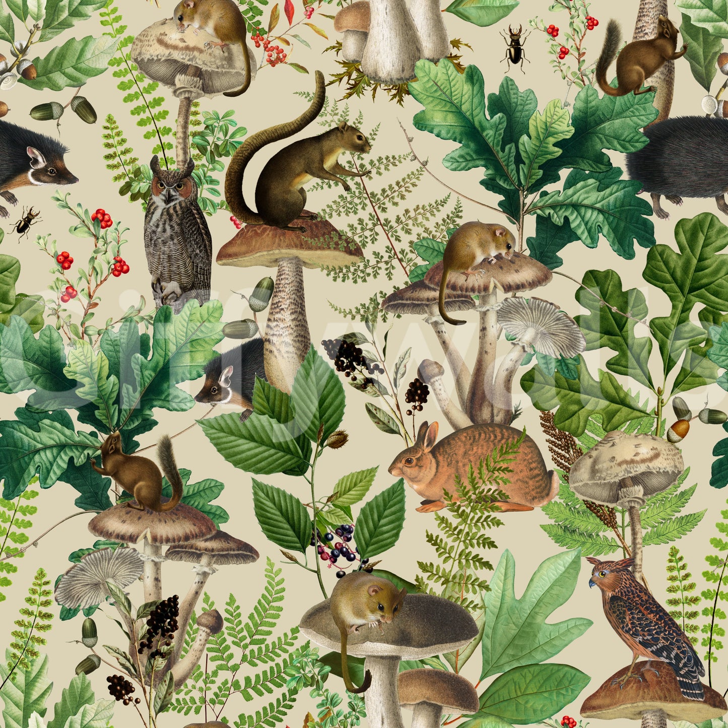 Enchanted Woodland Flora and Fauna Wallpaper