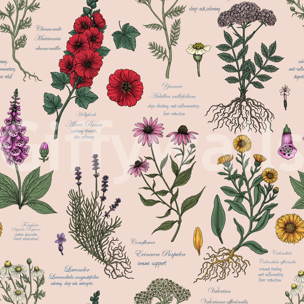 Medicinal Wildflower Garden Study Wallpaper