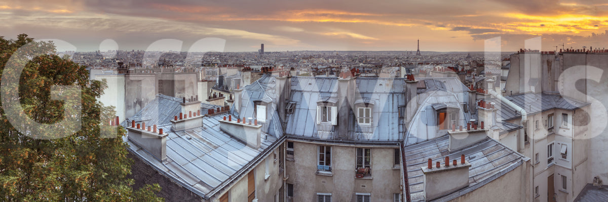 Twilight Over The Zinc Roofs of Paris Wall Mural