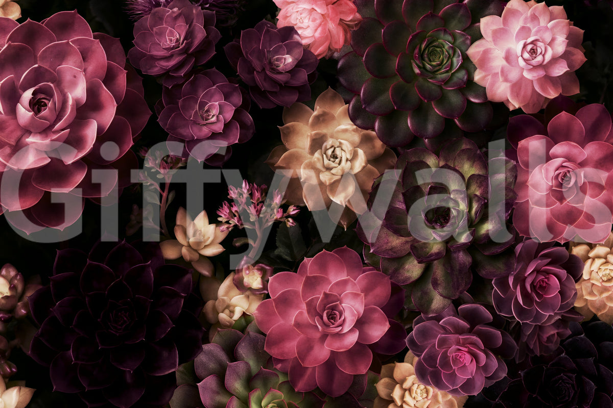 Midnight Succulent Garden Wall Mural