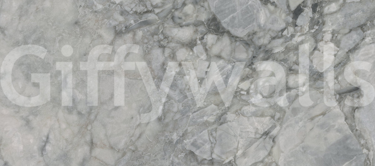 Cool Grey Marble Slab Wall Mural
