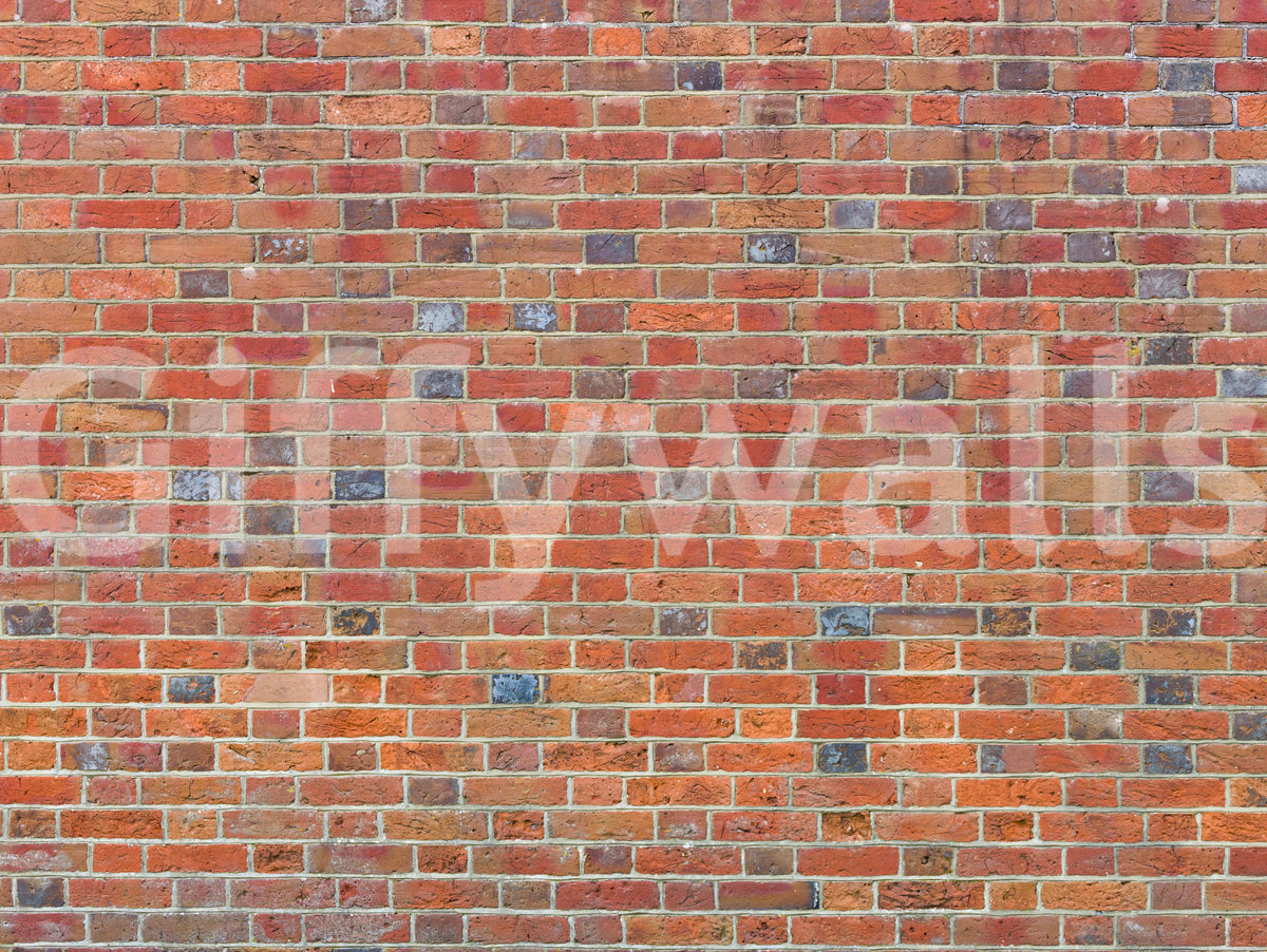 Aged Masonry Heritage Texture Wall Mural