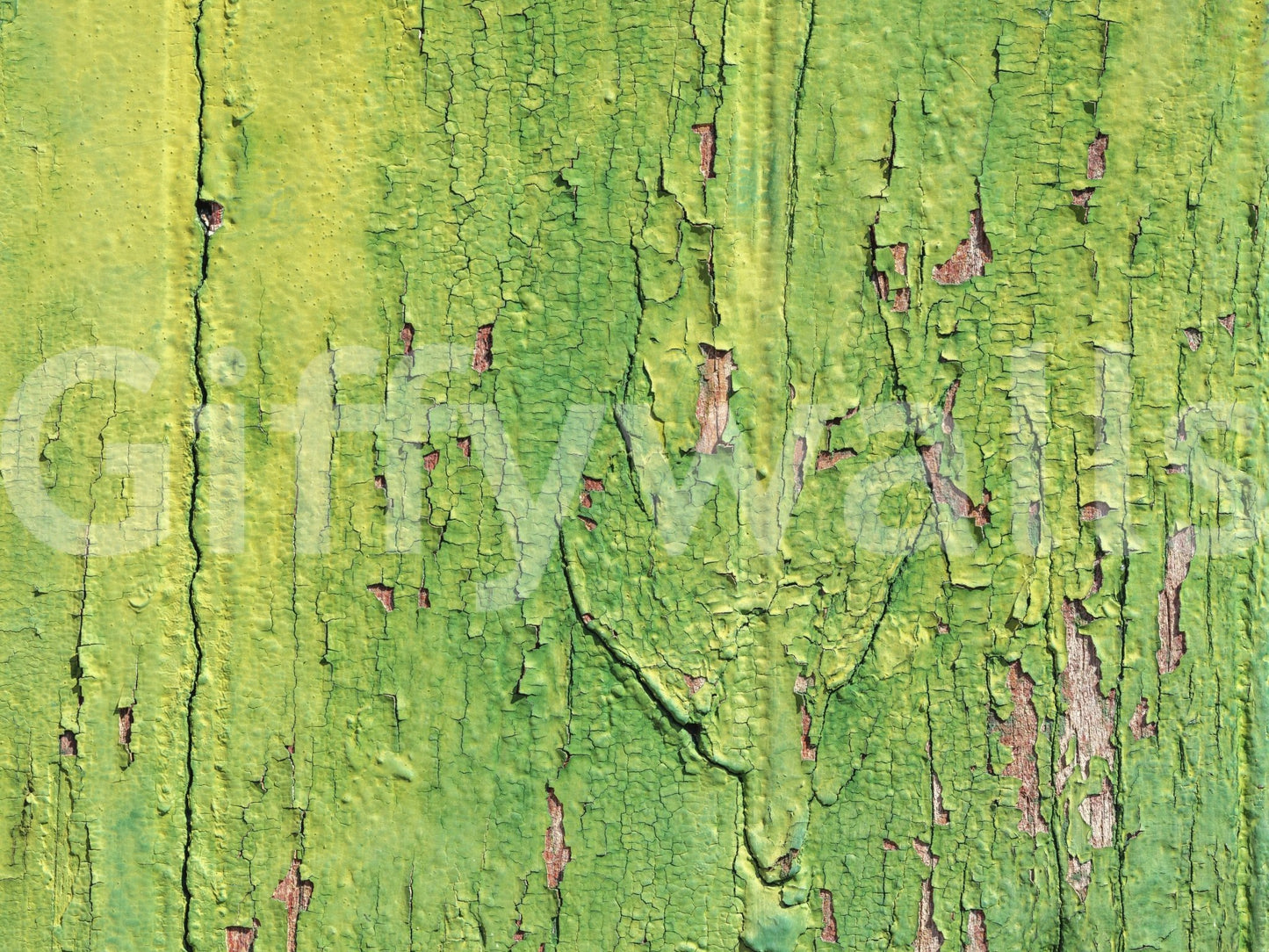 Weathered Green Wall Wall Mural