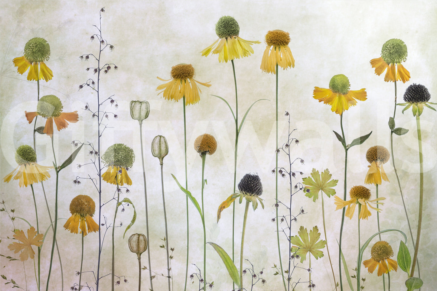 A high-quality serene flower wall mural for walls.