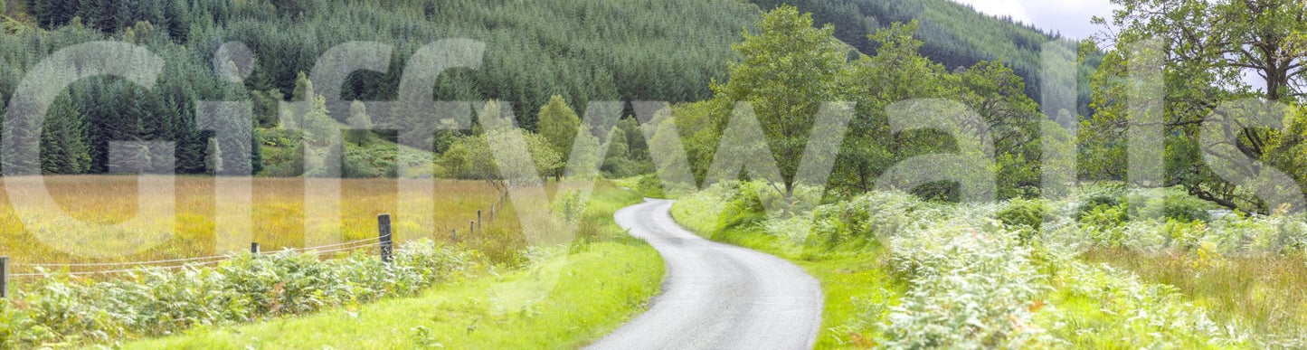 Wall mural depicting a quiet, open road traveling through a sunny valley. Winding Way.