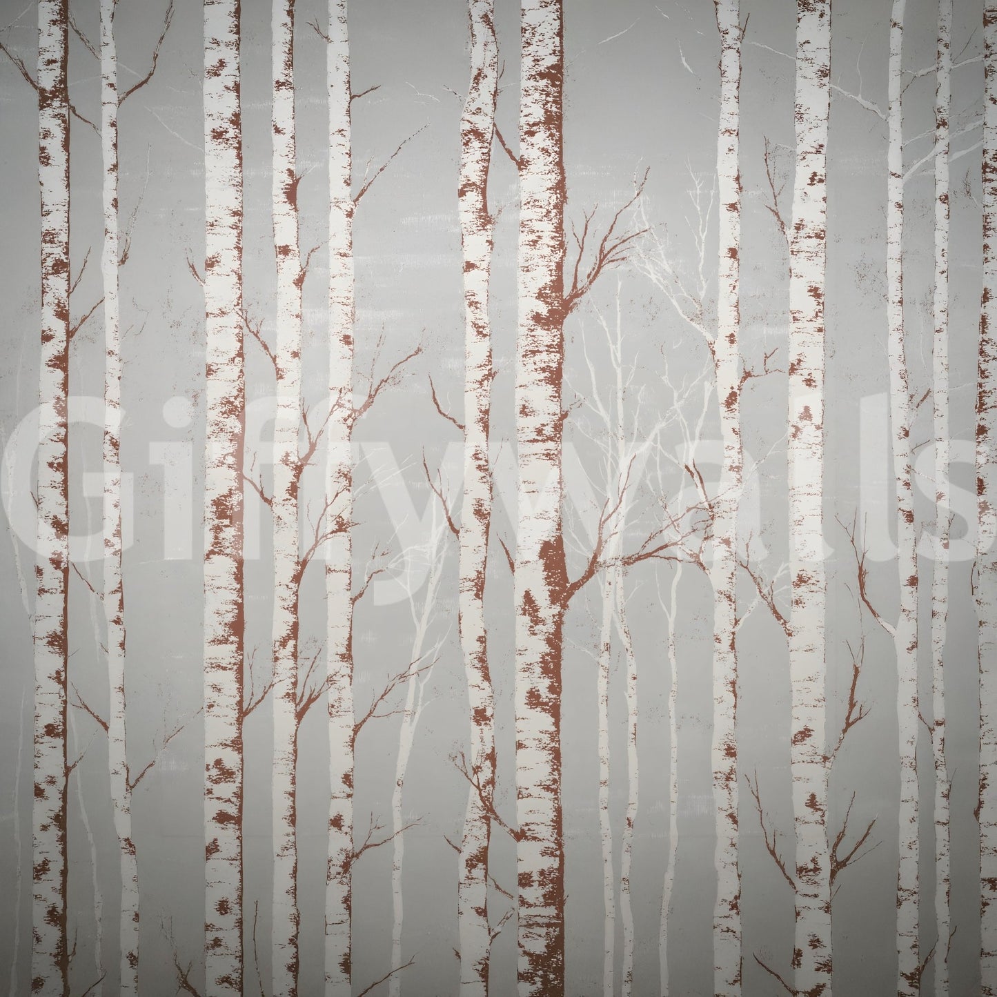 Winter Birch Beauty wallpaper mural close-up of white birch trunks with rust-brown bark markings on a soft grey background