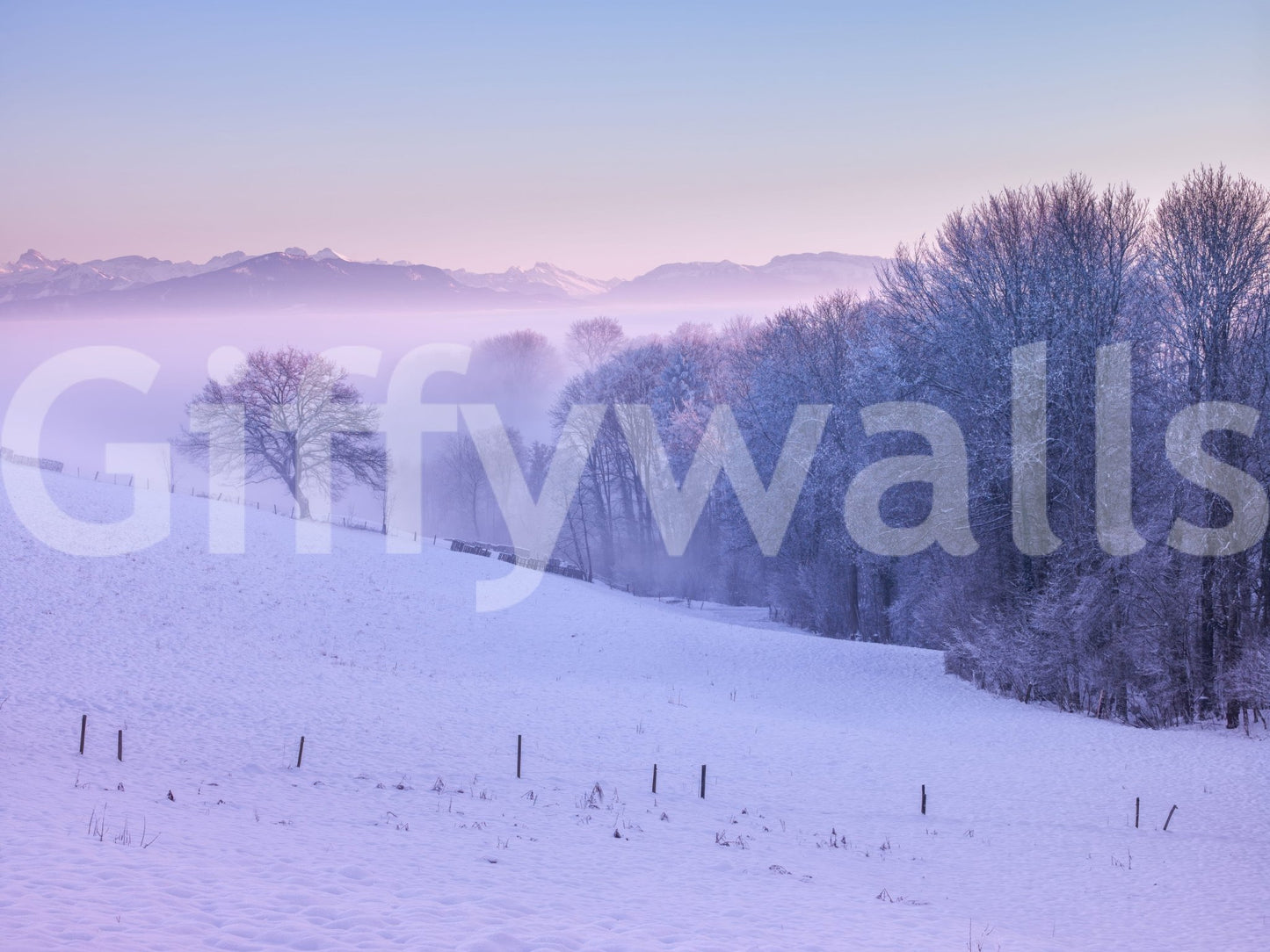 Winter Landscape wall mural bringing the beauty of snow indoors.