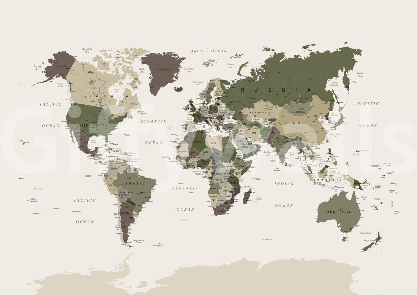 Vintage map wall mural in green