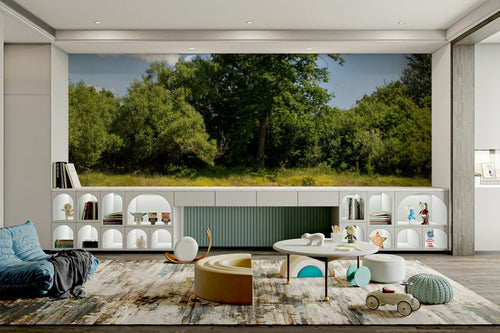 Roman Machovič photographic murals styled in Australian rooms