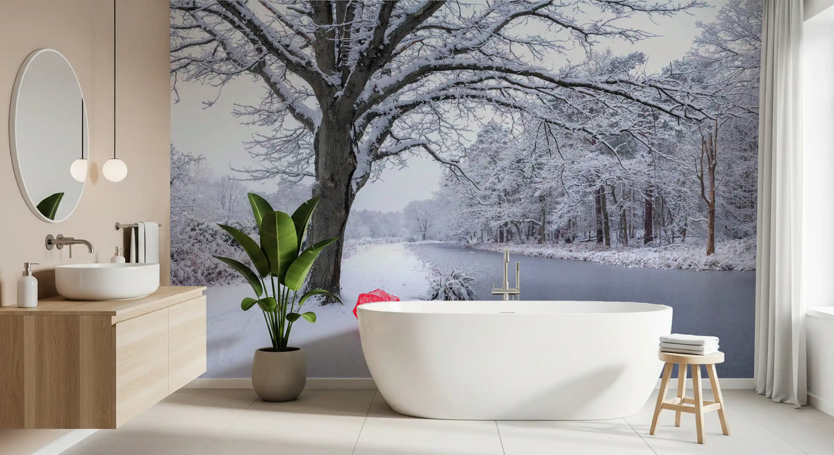 Frozen Canal Winter Wonderland Wall Mural