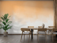 Peach Watercolor Wash Wall Mural - Giffywalls