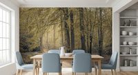 Muted Autumn Woodland Trail Wall Mural