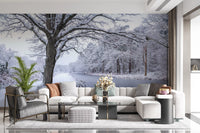 Frozen Canal Winter Wonderland Wall Mural