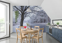 Frozen Canal Winter Wonderland Wall Mural
