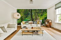 Scenic lake wallpaper mural with forest trail

