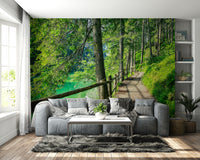 Peaceful nature path by emerald water wallpaper

