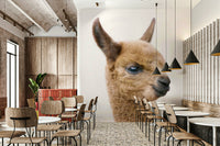Cartoon-style baby llama wallpaper for walls

