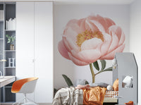 Blooming coral peony wallpaper style

