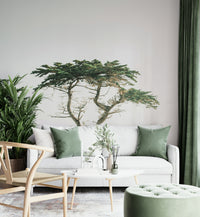 Monterey-inspired mural design for living rooms

