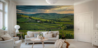 Vineyard with hills and trees mural


