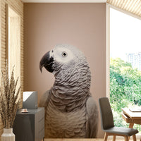 Sophisticated African Grey parrot wall design

