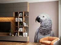 Exotic bird mural featuring African Grey parrot

