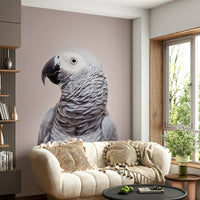 Grey parrot wall art with tropical foliage

