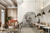 Cartoon baby elephant wall mural for children

