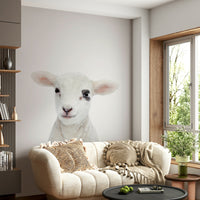 Sweet lamb wallpaper mural for children’s room

