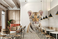 Sweet baby tiger wallpaper mural for toddlers

