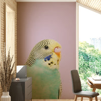 Wall mural featuring perched budgie in soft hues

