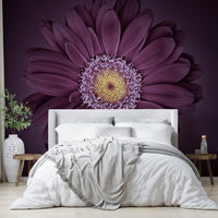 Velvet Bloom mural wallpaper for a luxurious and floral atmosphere.

