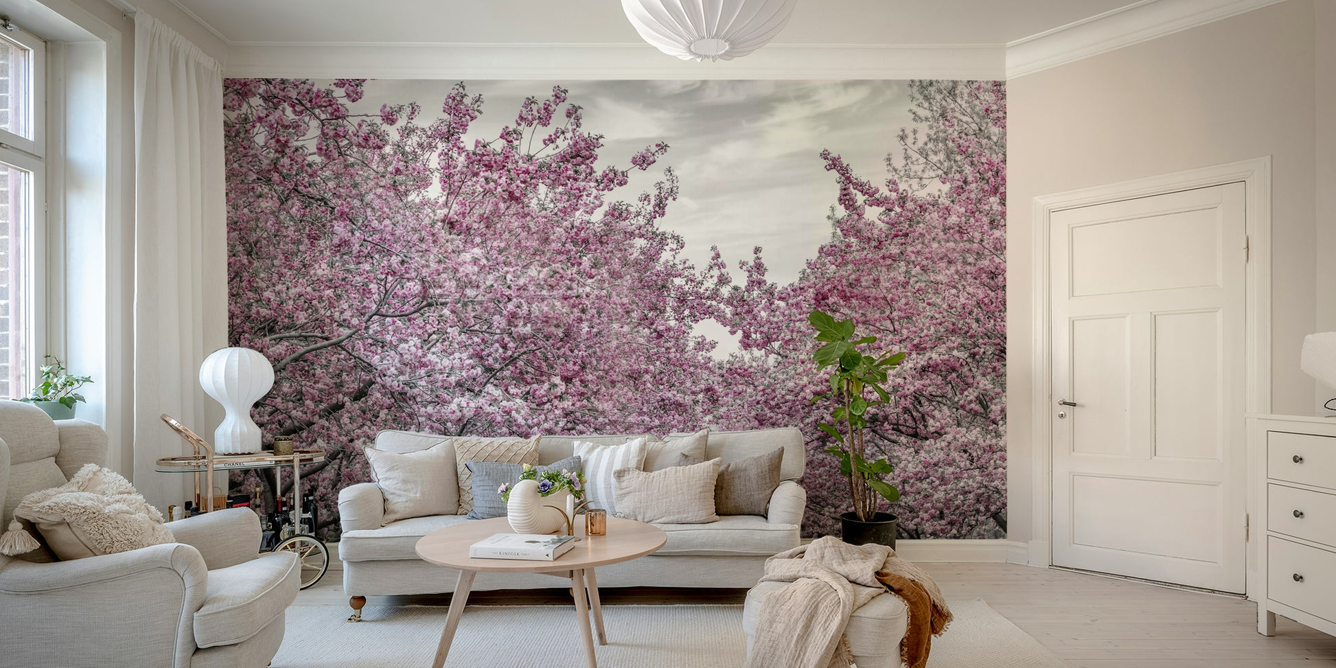 Wall mural of cherry blossom alley in soft spring light

