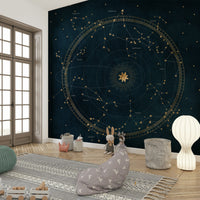 Night sky star map mural with constellations for modern interiors.

