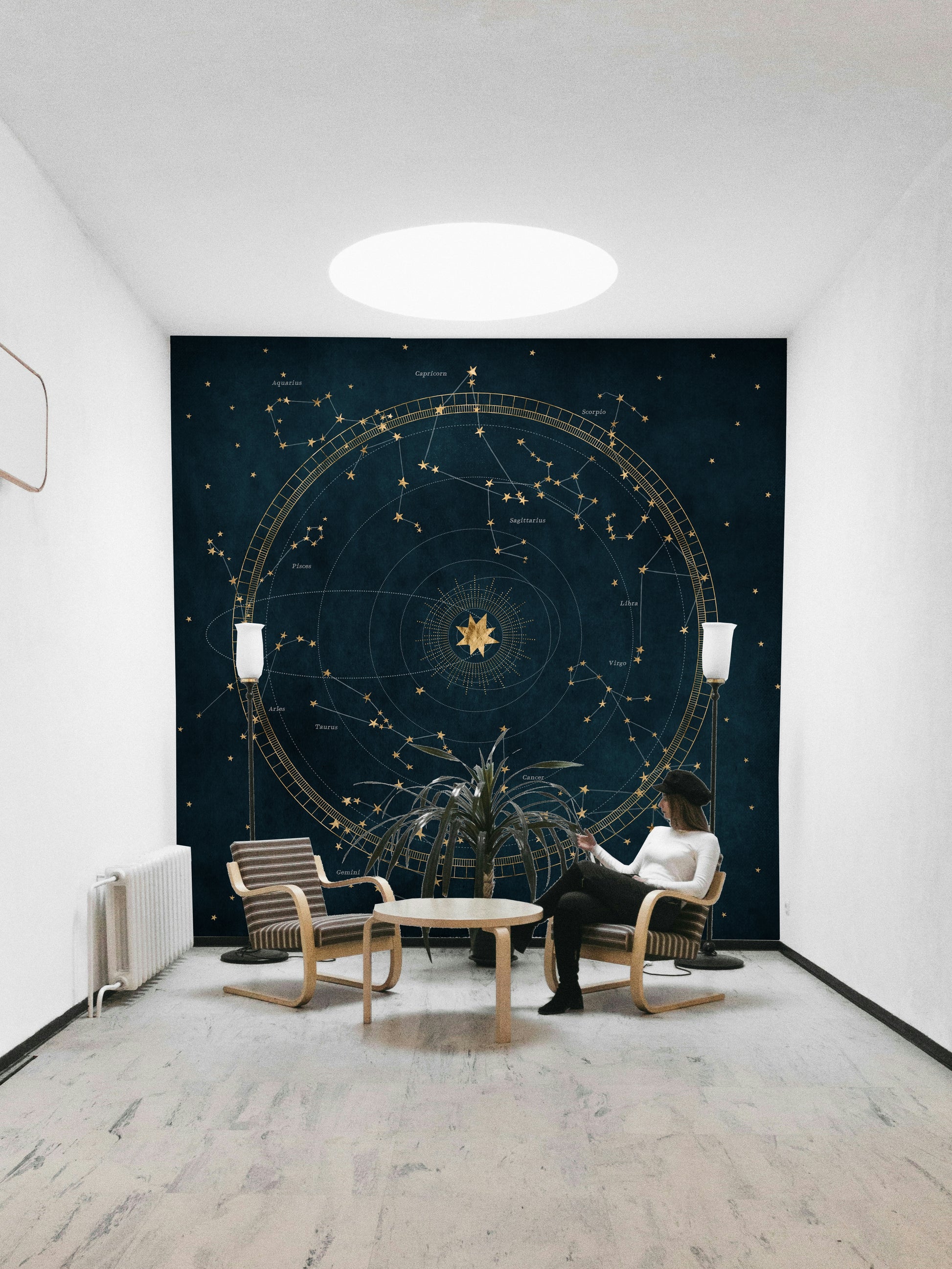 Celestial Star Chart Wall Mural with constellations and stars.


