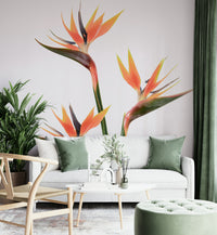 Bird of Paradise Bloom wall mural adding tropical elegance to a room.

