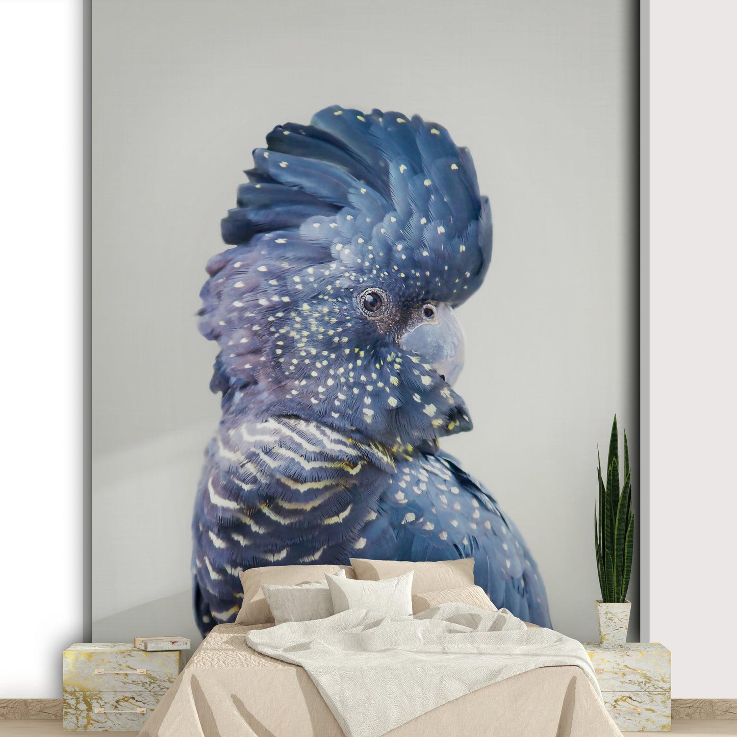 Wildlife-inspired Black Cockatoo wall mural with detailed bird design.

