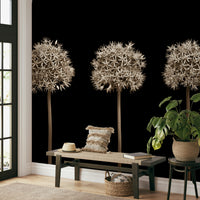 Three Alliums on Black Wall Mural with detailed white flowers.

