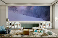 Winter Landscape Wall Mural with snow-covered trees and misty sky.

