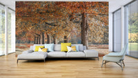 Beautiful autumn path wallpaper mural for a nature-filled room.

