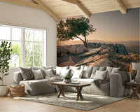 Solitary Tree at Dusk Wall Mural with golden sunset light.

