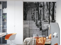 Elegant Montmartre street mural featuring cobblestone and lamps.

