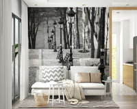 Cobblestone street lamp scene from Montmartre captured in mural form.

