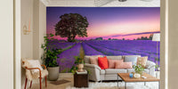 Lavender Field at Golden Hour Wall Mural with sunset light.

