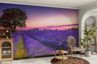 Lavender field mural with golden tones creating a calm room.


