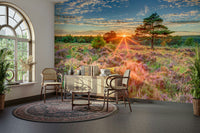 Heathland Sunset Wall Mural with golden sunset and tranquil landscape.

